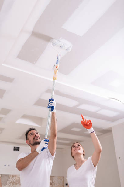 Best Emergency Mold Remediation  in Walkersville, MD