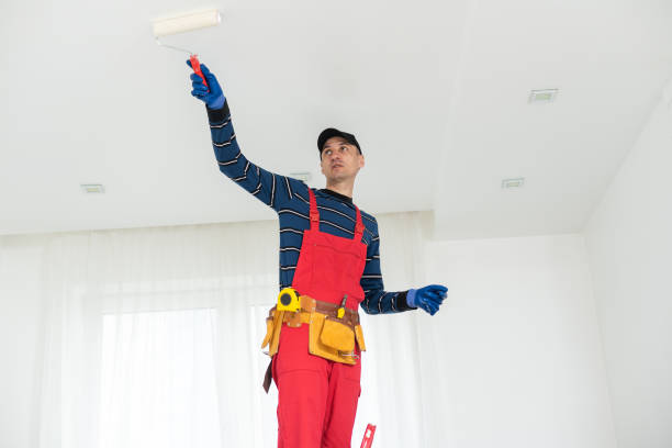 Best Attic Mold Removal  in Walkersville, MD