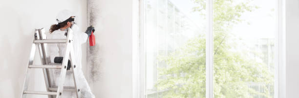 Best HVAC Mold Inspection and Cleaning  in Walkersville, MD