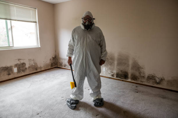 Best Industrial Mold Remediation  in Walkersville, MD