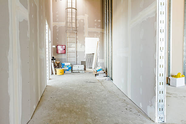 Best Post-Construction Mold Inspection  in Walkersville, MD