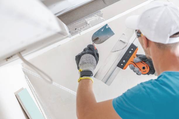 Best Mold Documentation for Insurance Claims  in Walkersville, MD